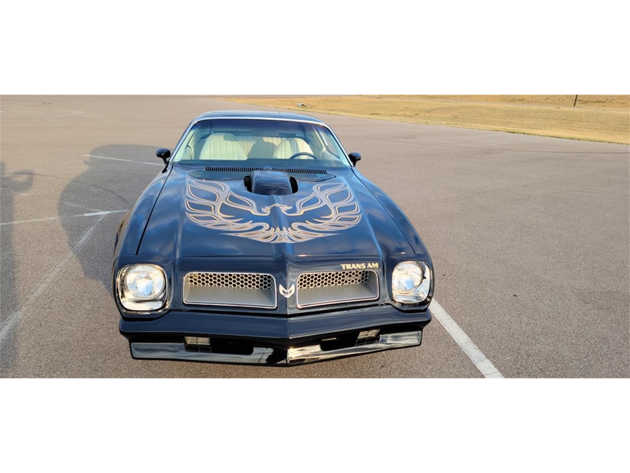 1976 pontiac firebird trans am
