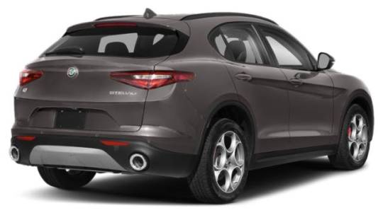 2019 alfa romeo stelvio quadrifoglio