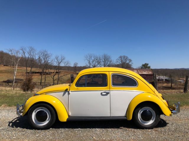 1962 volkswagen beetle - nice solid classic - numbers matching