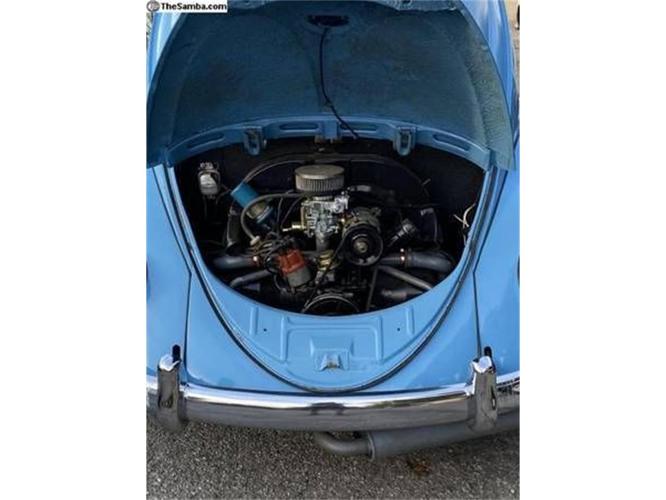 1952 volkswagen beetle in cadillac, michigan