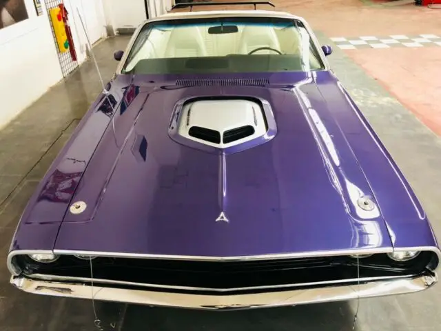plumb crazy purple dodge challenger with 0 miles available now!