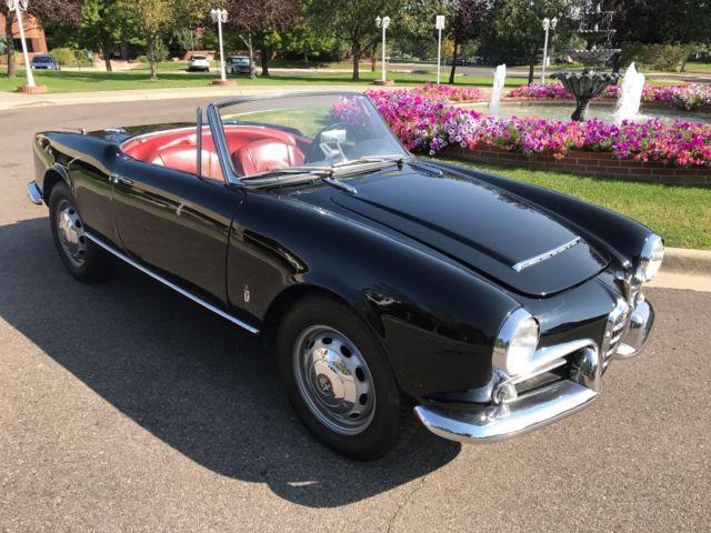 alfa romeo gulia spider