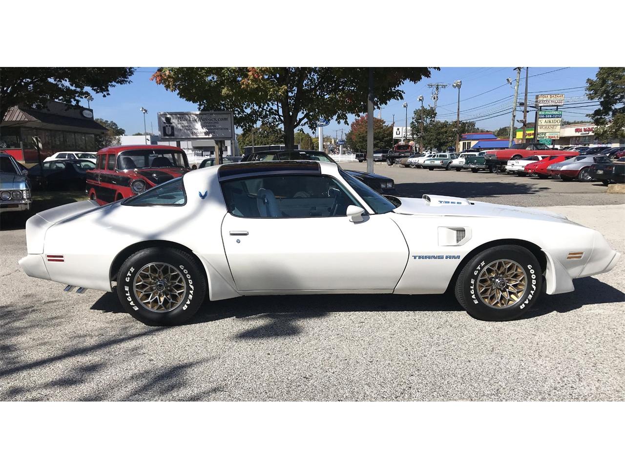 1979 pontiac firebird trans am