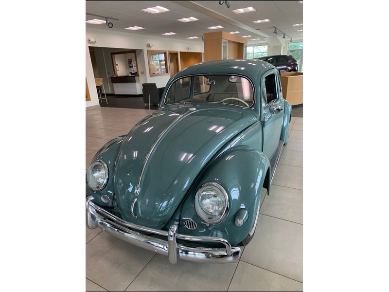 volkswagen beetle small oval window sedan