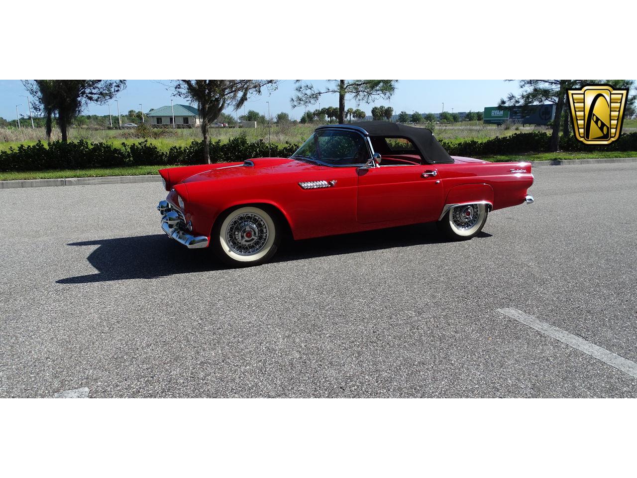 1955 ford thunderbird