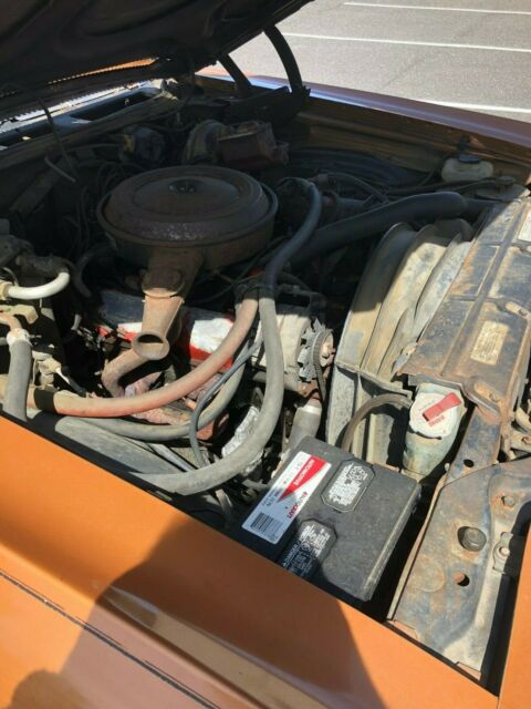original condition survivor - no reserve