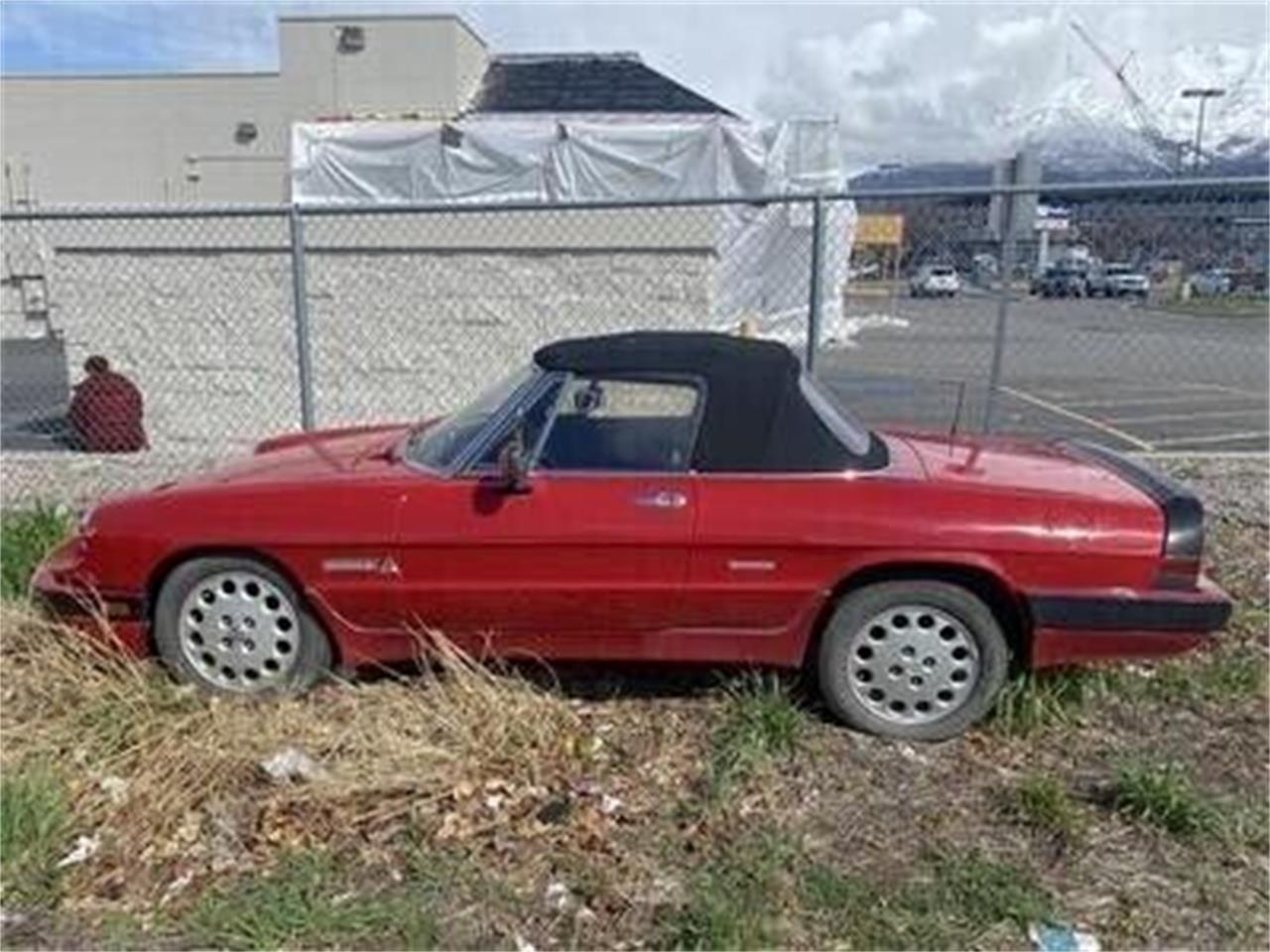 1989 alfa romeo spider