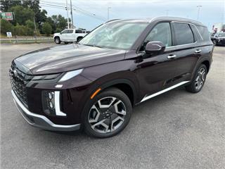 2025 Hyundai Palisade sel premium
