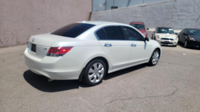 2010 honda accord ex-l