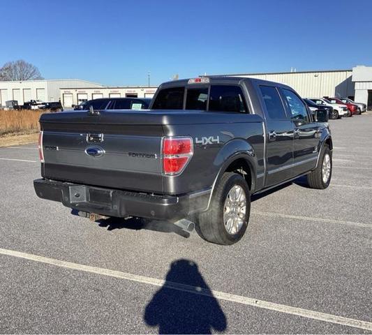 2012 ford f-150 platinum