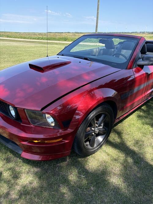 2009 ford mustang gt convertible california special edition 4.6 v8 automatic new