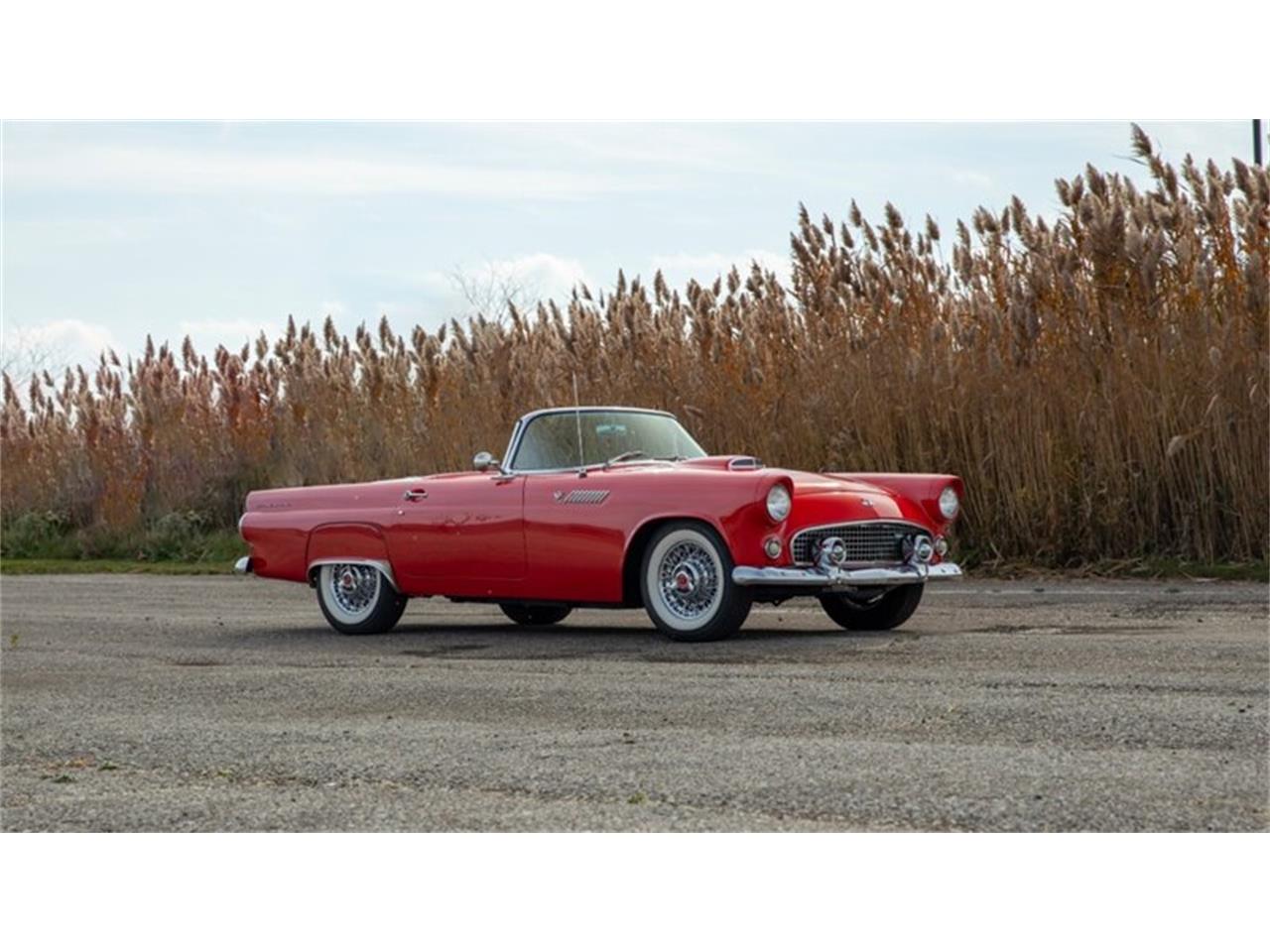 1955 ford thunderbird