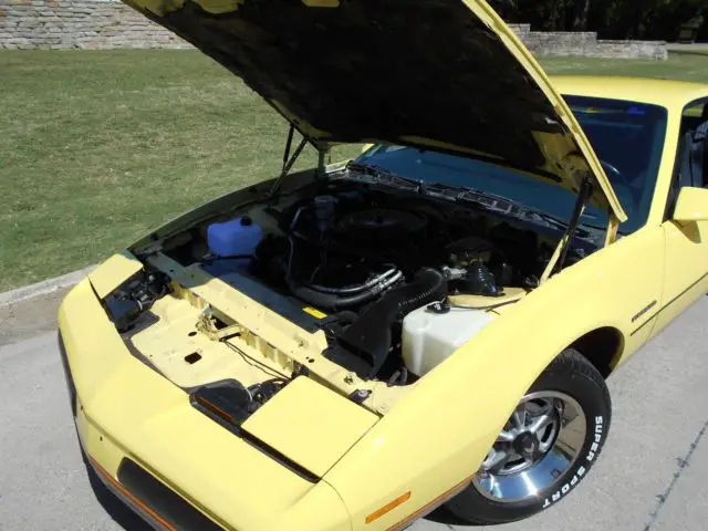 survivor 50k - 5.0 v8