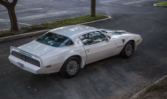 1979 pontiac trans am firebird, big block, survivor,original,runs xlnt,looks vg