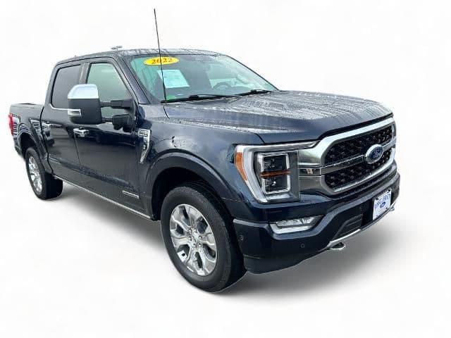 2022 ford f-150 platinum in dickel, tennessee