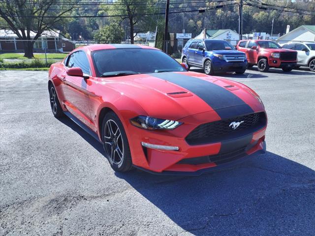 2019 ford mustang ecoboost