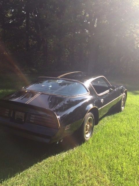 1976 50th anniversary limited edition pontiac trans am y82