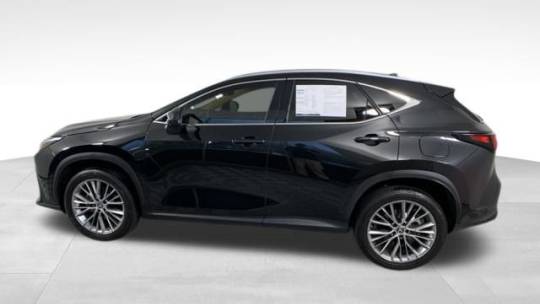 2023 Lexus NX