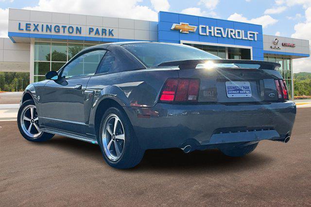 2004 ford mustang mach i