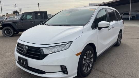 2024 Honda Odyssey (North America)