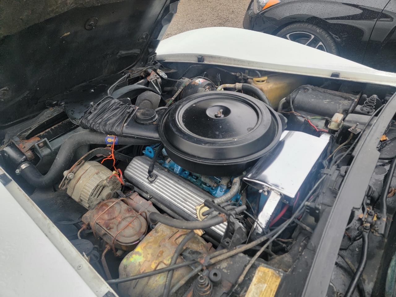 1977 chevrolet corvette