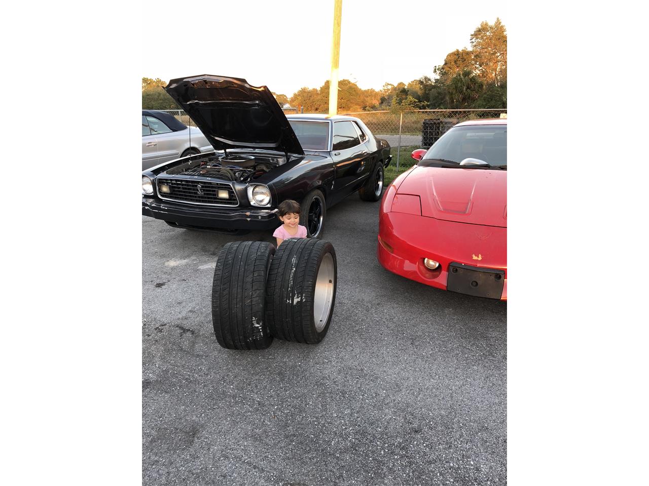 1977 ford mustang