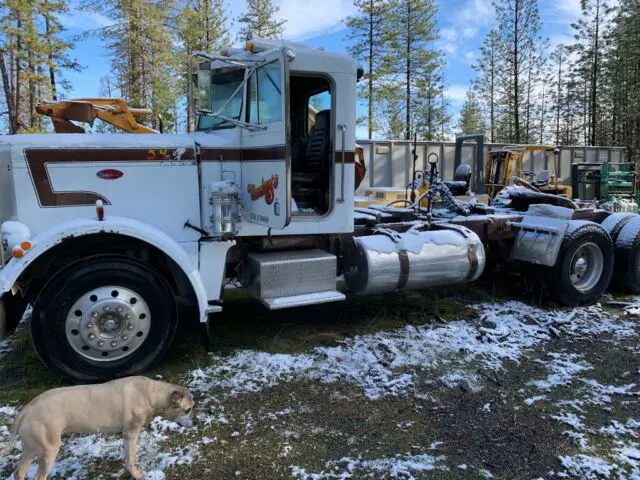 1973 peterbilt 10 wheeler