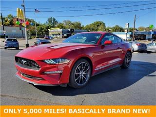 2023 Ford Mustang ecoboost