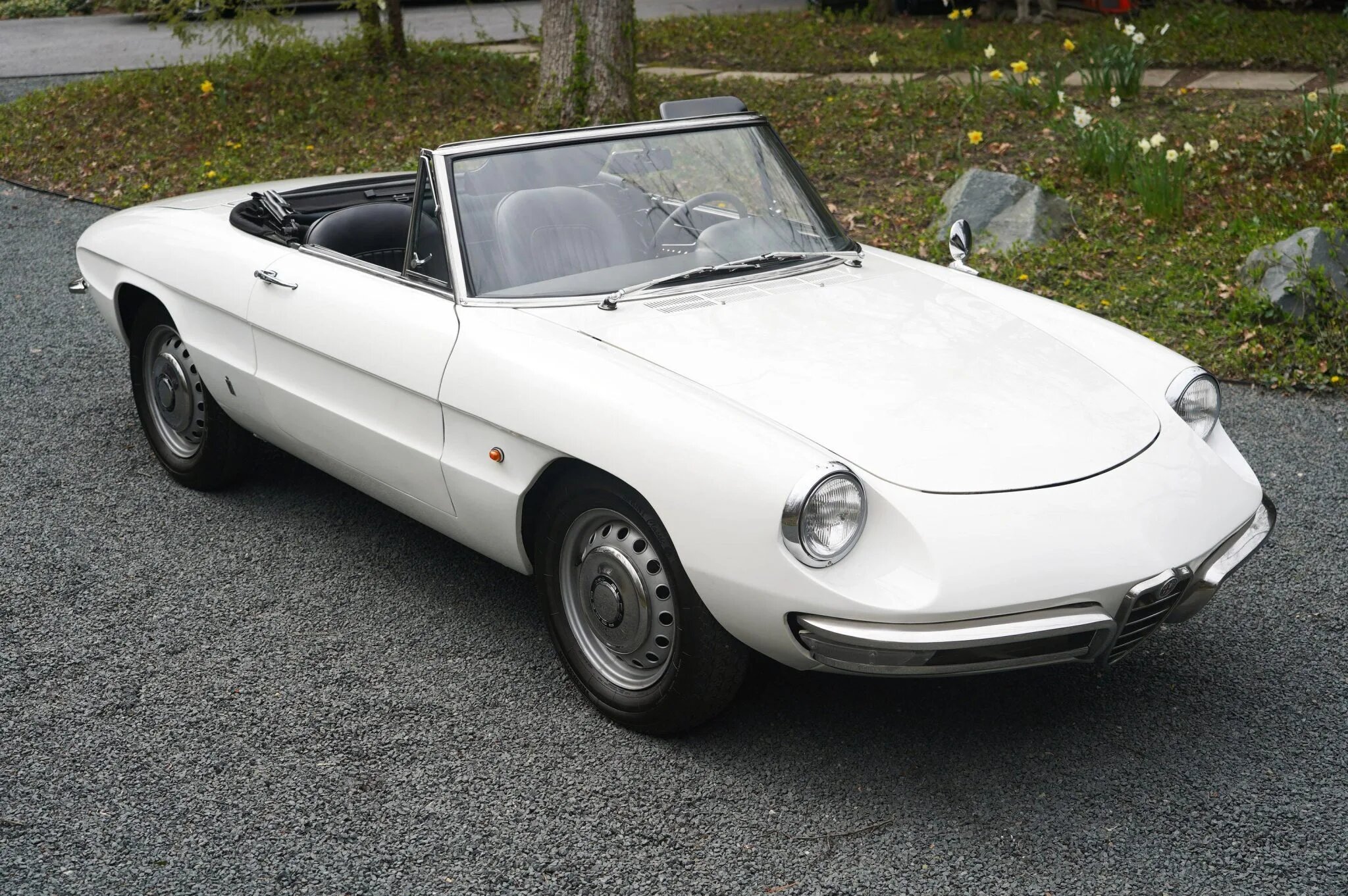 alfa romeo spider duetto