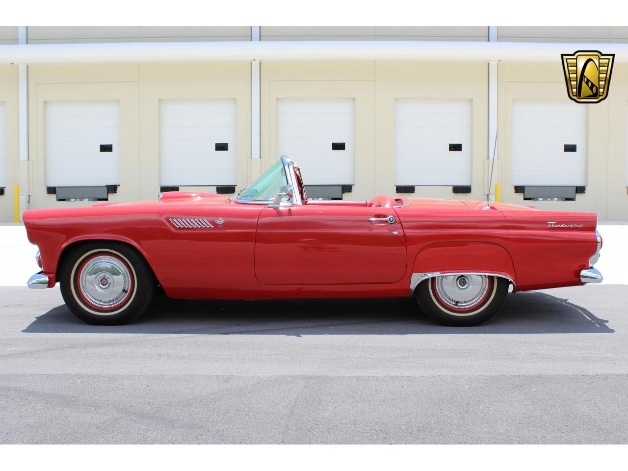 1955 ford thunderbird