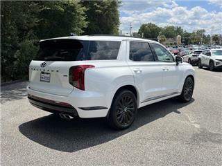 2025 Hyundai Palisade calligraphy night edition