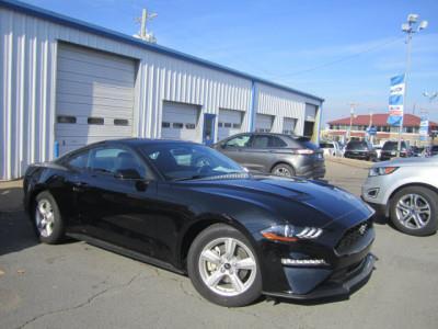2019 ford mustang ecoboost ecoboost 2dr fastback for sale in fort smith, arkansas