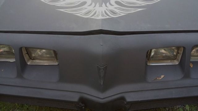 1981 pontiac firebird esprit coupe 2-door 4.3l