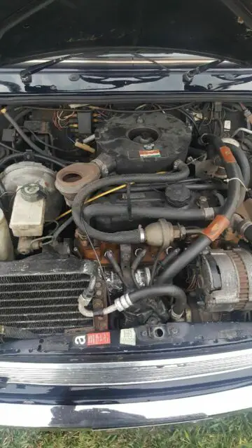 1991 austin / rover mini