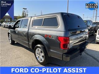2020 Ford F-150 platinum