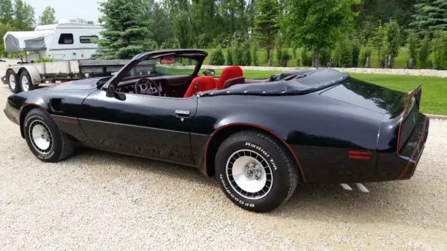 1981 pontiac turbo trans am convertible