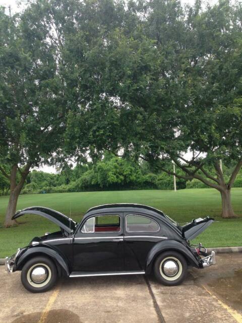 volkswagon 1964