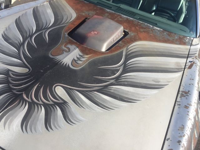 1979 10th anniversary pontiac trans am, only 39,102 miles! 4 speed! barn find!