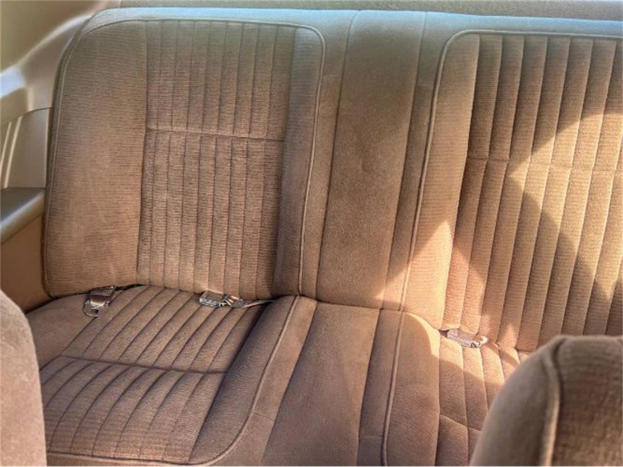 1983 ford thunderbird