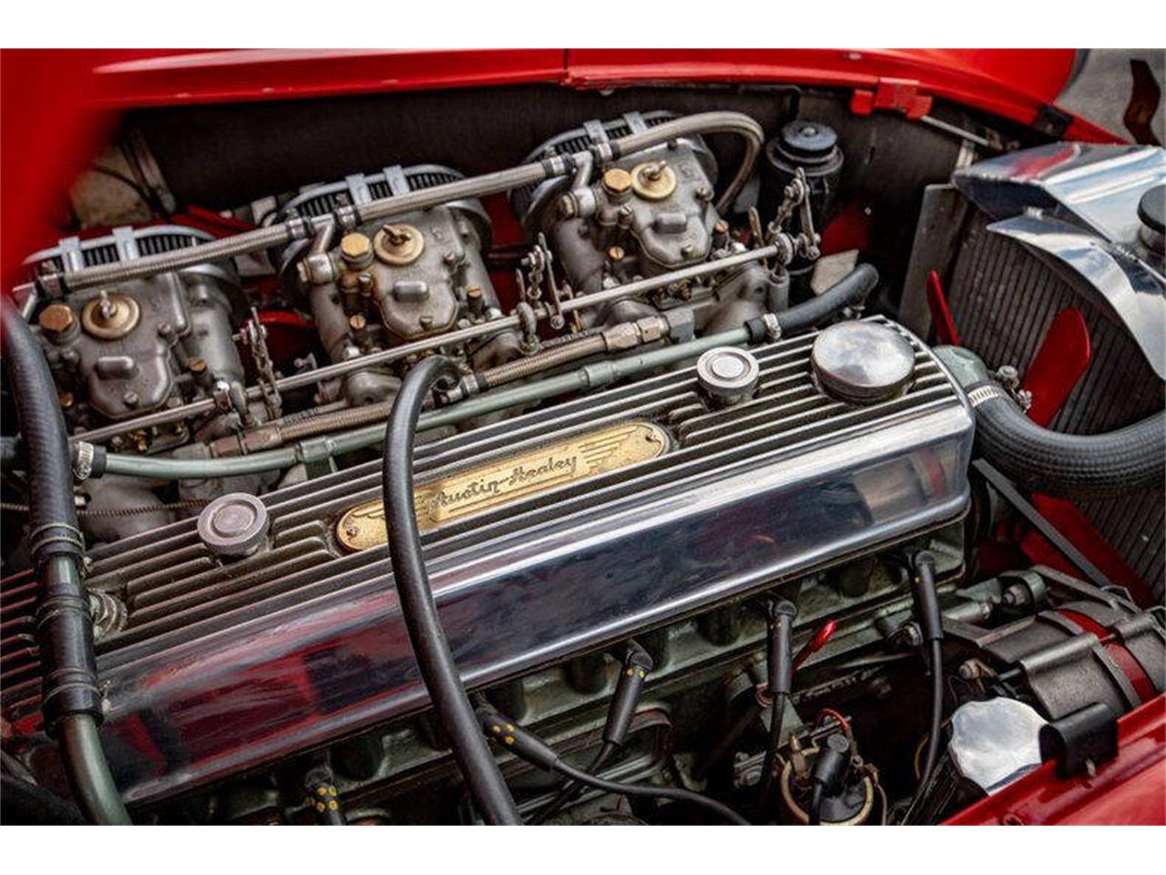 1965 austin-healey 3000