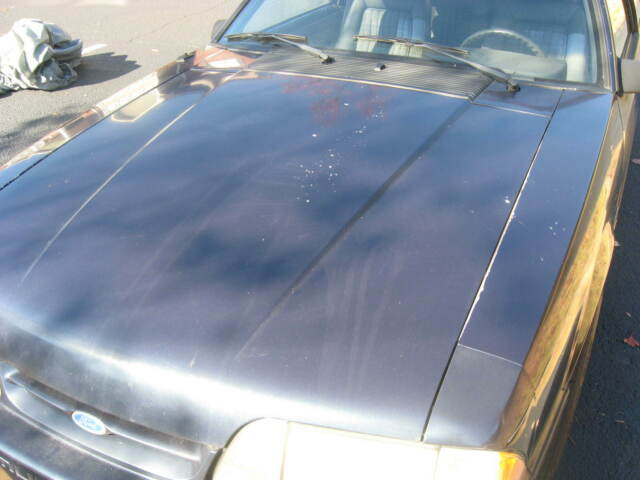 1989 mustang lx 5.0l 5-speed hatchback (44k mi) 100% complete, 99% factory orig