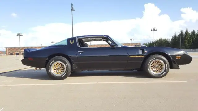 1979 pontiac trans am black on black !!!
