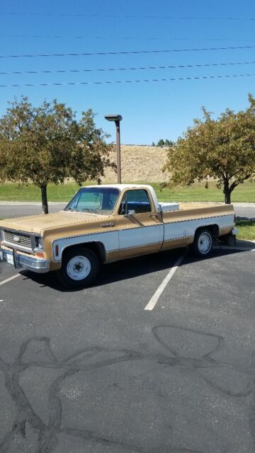 1973 chevy c10 custom deluxe
