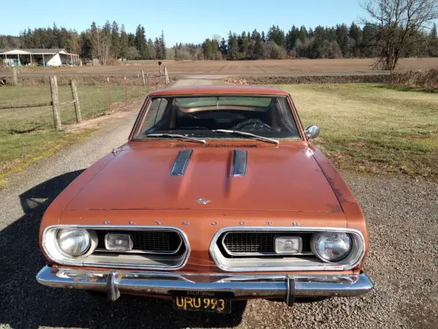 1967 barracuda true survivor
