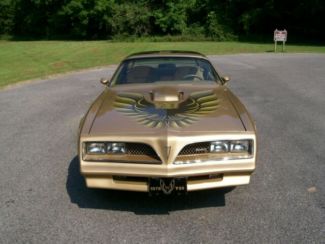 1978 trans am y88