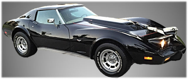 1976 chevrolet corvette l-82 stingray coupe 2-door 5.7l (c3 model)