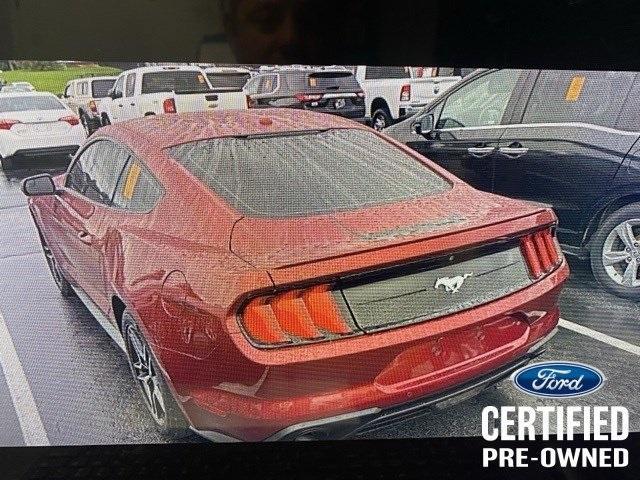 2019 ford mustang ecoboost premium