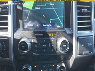 2021 Ford F-250 platinum