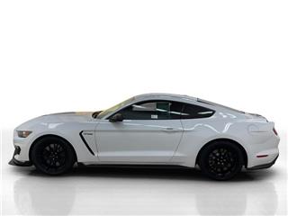 2019 Ford Mustang shelby gt350