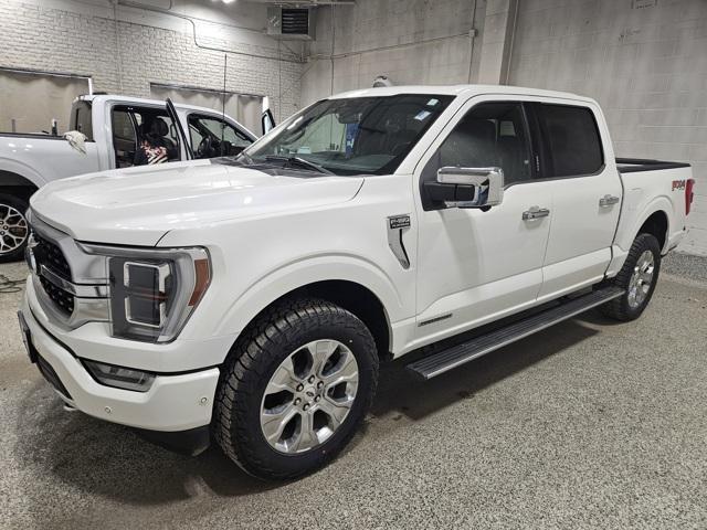 2021 ford f-150 platinum